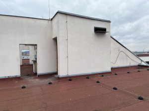 Na střeše brněnského magistrátu se zabydlela desítka ptáků. Holubník pomáhá regulovat jejich populaci