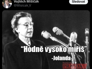 Komunista zesměšňuje popravu Horákové nebo smrt Palacha. Bolševický prase, píší lidé v komentářích