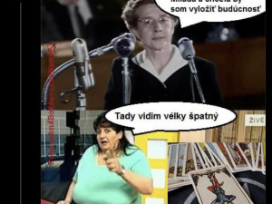 Komunista zesměšňuje popravu Horákové nebo smrt Palacha. Bolševický prase, píší lidé v komentářích