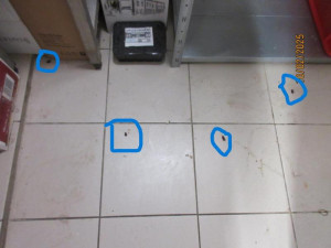 Švábi a špína v kuchyni i skladu. Inspektoři částečně uzavřeli brněnskou restauraci