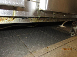 Švábi a špína v kuchyni i skladu. Inspektoři částečně uzavřeli brněnskou restauraci