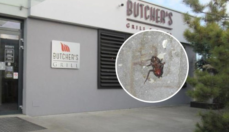 Švábi a špína v kuchyni i skladu. Inspektoři částečně uzavřeli brněnskou restauraci