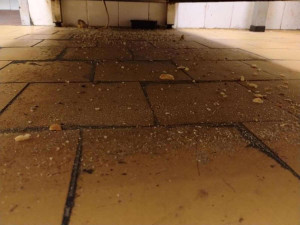 Mrtvé myši v kuchyni a stěny olezlé plísní. Inspektoři zavřeli motorest na dálnici u Brna