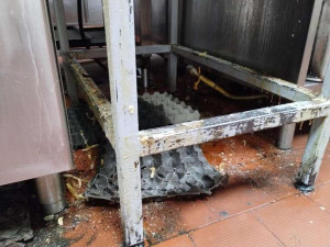 Mrtvé myši v kuchyni a stěny olezlé plísní. Inspektoři zavřeli motorest na dálnici u Brna