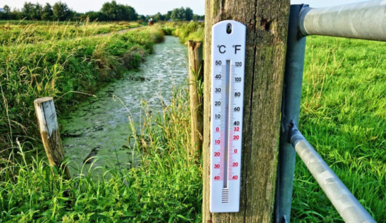 V pátek padaly na jihu Moravy teplotní rekordy. Ve Strážnici na Hodonínsku naměřili meteorologové 21,2 stupně