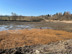 VIDEO: Obnova Žebětínského rybníka je téměř u konce. Ochrání obojživelníky, poslouží i ke koupání