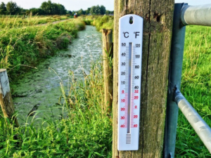 V pátek padaly na jihu Moravy teplotní rekordy. Ve Strážnici na Hodonínsku naměřili meteorologové 21,2 stupně