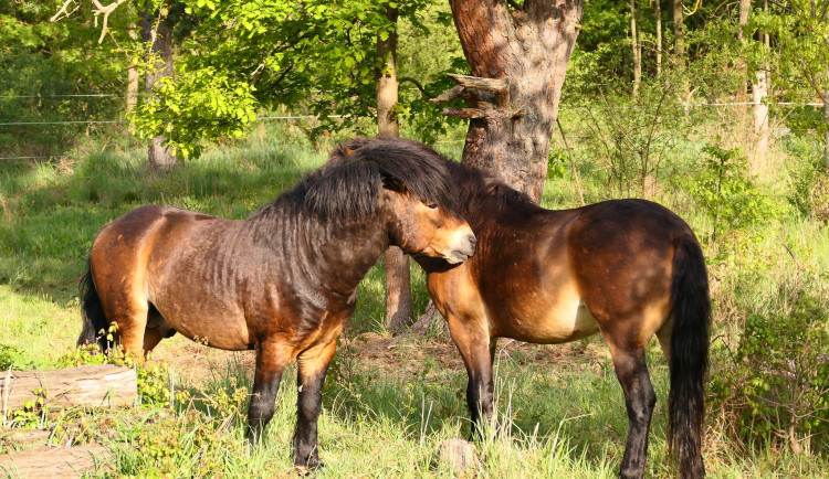 472044888_1015743290595519_6945494532954159456_n