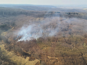 Hasiči zasahovali přes víkend u dvaceti požárů porostů. Hořely lesy i polní porosty