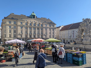 Brněnský Zelný trh s přicházejícím jarem ožívá. Lidé tam teď nakoupí bylinky nebo sazenice