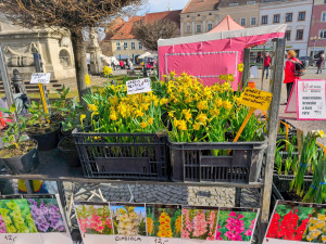 Trhy ve Vyškově zahájily novou sezónu. Centrum města jimi ožije každou druhou středu