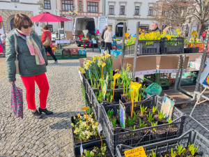 Trhy ve Vyškově zahájily novou sezónu. Centrum města jimi ožije každou druhou středu