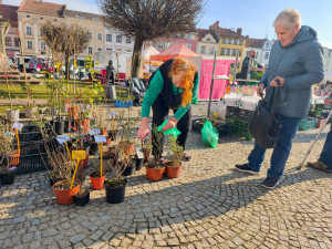 Trhy ve Vyškově zahájily novou sezónu. Centrum města jimi ožije každou druhou středu