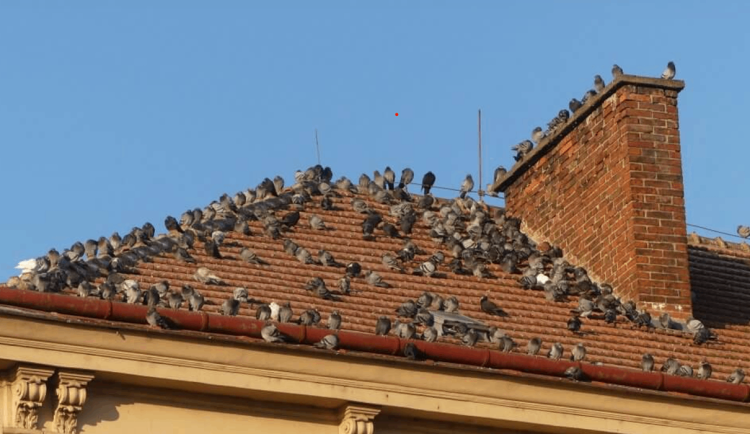 Ilustrační fotografie