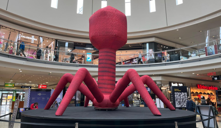 VIDEO: Po Brně se potuloval obří nafukovací bakteriofág. Bavil kolemjdoucí a usadil se v obchoďáku