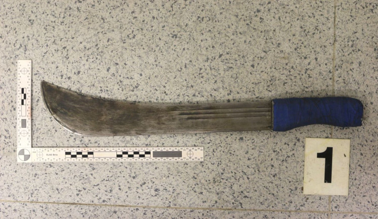 Muž s mačetou ohrožoval spoluobčana. Vadilo mu, že se mu dívá na psa