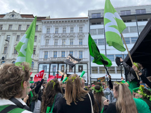 VIDEO: Studenti v Brně odstartovali majálesové oslavy. V centru metropole postavili májku
