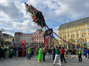 VIDEO: Studenti v Brně odstartovali majálesové oslavy. V centru metropole postavili májku