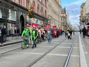 VIDEO: Studenti v Brně odstartovali majálesové oslavy. V centru metropole postavili májku