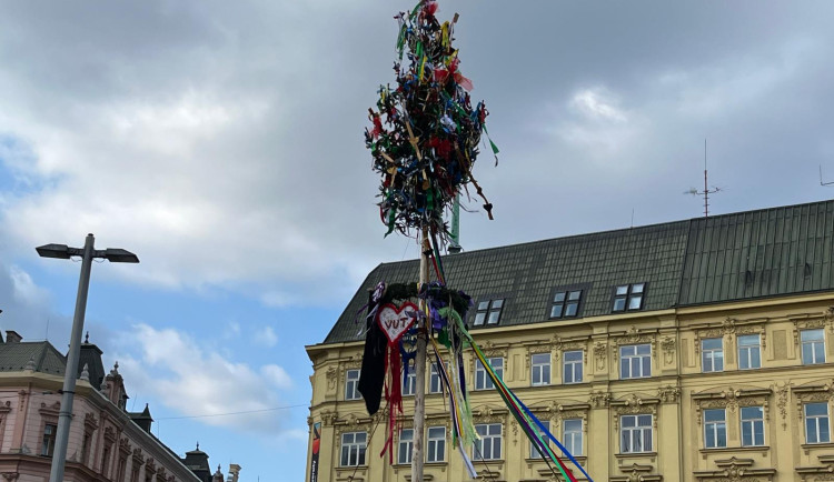 VIDEO: Studenti v Brně odstartovali majálesové oslavy. V centru metropole postavili májku