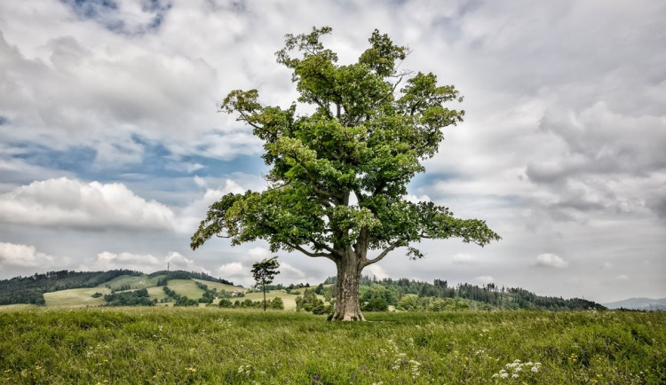 Ilustrační fotografie