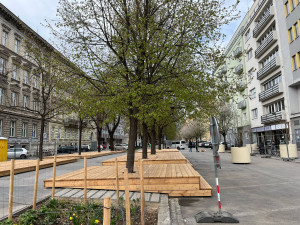 Brněnská třída Kapitána Jaroše bude příjemnější pro chodce. Zapojí se obyvatelé, mohou pomalovat cestu