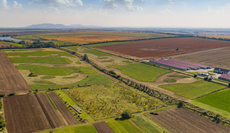 Ilustrační fotografie