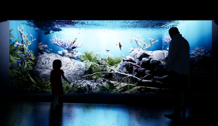 VIZUALIZACE: Zoo Hodonín čeká rozšiřování. V plánu jsou pavilony za stovky milionů