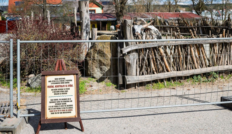 Safari Park ve Dvoře Králové nad Labem je otevřen i přes bezpečnostní opatření