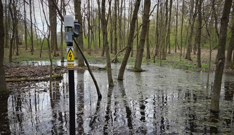 Město nechalo zlikvidovat komáří larvy v Černovíře. Pomohly speciální senzory
