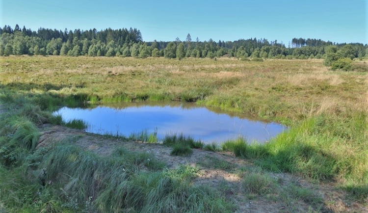 16350097771815-231-zadrzet-vodu-v-krajine-pomahaji-nove-budovane-tune-pres-40-jich-vzniklo-v-brdech_11zon