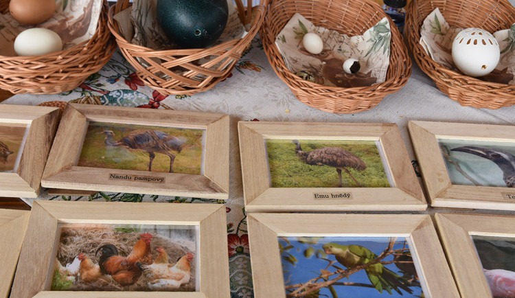 Na Svatém Kopečku bylo rušno. Zájem o velikonoční Zoo Olomouc překonal loňská čísla