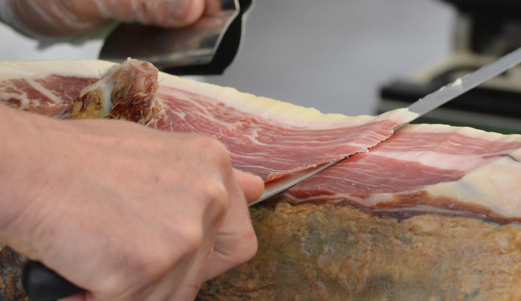 Ilustrační fotografie