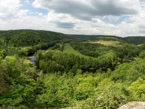 Správa Podyjí obnovila zaniklý mokřad, může přilákat rozmanité druhy živočichů