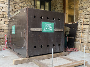 Brněnskou medvědici Irinu převezli na sever Čech, málem rozdrápala bednu