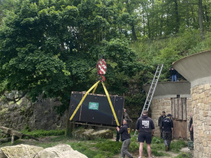 Brněnskou medvědici Irinu převezli na sever Čech, málem rozdrápala bednu