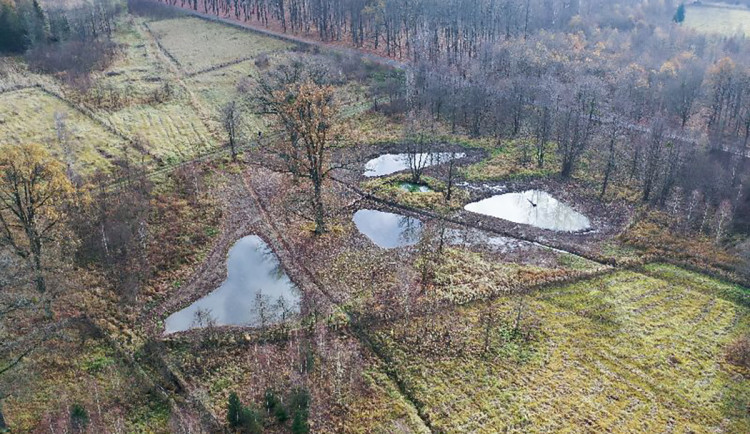 Důležité domovy pro vzácné druhy. V Litovelském Pomoraví i v Žebračce ožívají nové tůně