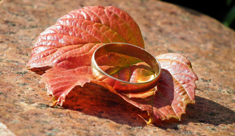 Snoubenci v Brně ztratili prsten za desetitisíce. Pomohli strážníci a detektor kovu