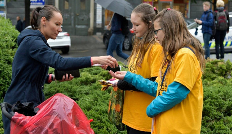 Záplava žlutých kvítků v ulicích Brna podpoří pacienty s rakovinou tlustého střeva