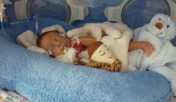 Lékaři z Brna ročně ošetří asi sedm set nedonošených dětí