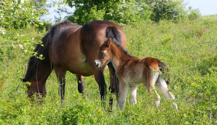 497460727_1114785077358006_3026776934358172372_n