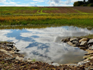 Ve Vyškově vznikne nový mokřad, který podpoří biodiverzitu u Lulečského potoka