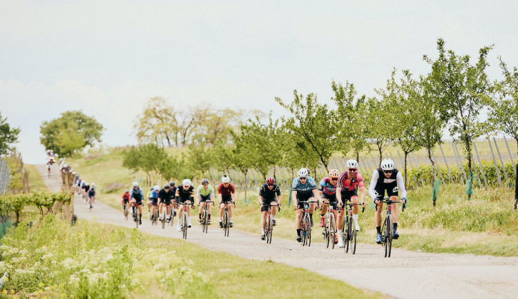 Tisícovka srdcařů mezi vinohrady. Seriál Road Classics odstartoval rekordem