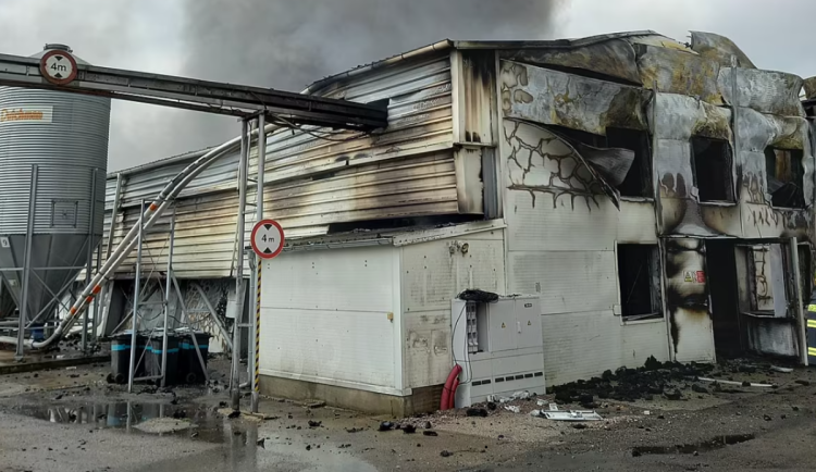 Plameny zasáhly drůbežárnu v Kosičkách, slepice v sousedních halách jsou v bezpečí