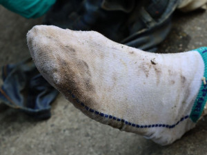 Záchranáři vylovili z Pryglu mrtvého muže. Kriminalisté pátrají po jeho totožnosti