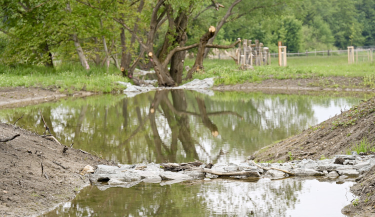 Kluky v Hradci Králové prošly proměnou: vzniklo sedm tůní a nová zeleň