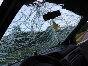 Řidiči na Znojemsku skočil za krk rozdováděný pes. V úleku havaroval