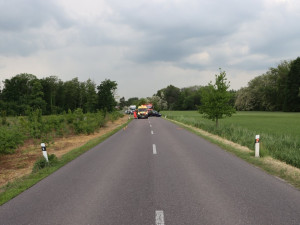 Řidiči na Znojemsku skočil za krk rozdováděný pes. V úleku havaroval