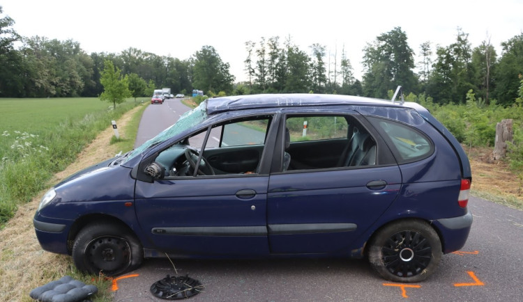 Řidiči na Znojemsku skočil za krk rozdováděný pes. V úleku havaroval