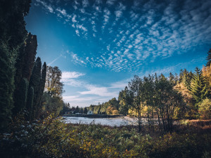Dny otevřených dveří Arboreta Křtiny pokračují. Nabízí prohlídky i šifrovačku